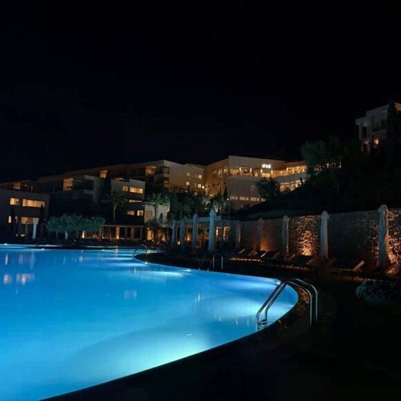 Meet your Posher, Aryana - Picture 1 of 1